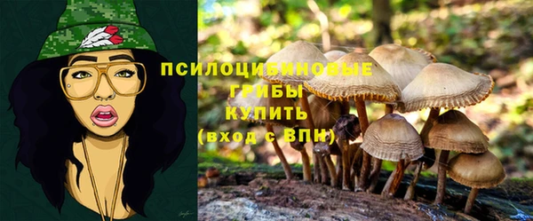 синтетический гашиш Алексеевка