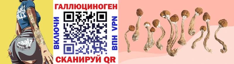 Галлюциногенные грибы Magic Shrooms  цены наркотик  Ипатово 